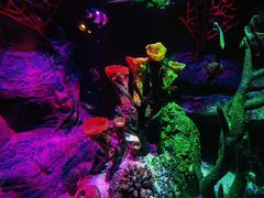 -沈阳海洋探索中心