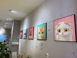 -洗脸猫·洗脸吧