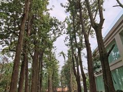 -西昌邛海宾馆