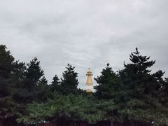 -护国法轮寺
