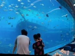-瑞德姆美人鱼海底演艺主题餐厅(亚龙湾店)
