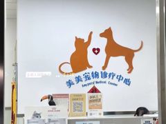 -美美宠物诊疗中心·异宠·骨科(滨江东信分院)