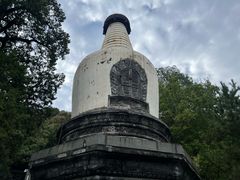 -大觉寺-停车场