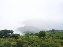 -阳台山自然风景区