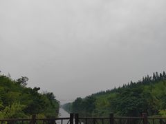 -黄海国家森林公园