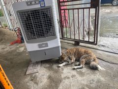 -马陆小张葡萄园农家乐