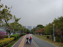 -五缘湾湿地公园