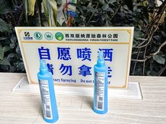 -西双版纳原始森林公园