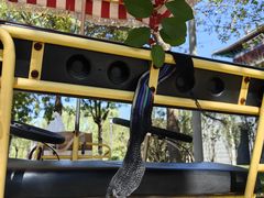 -武清南湖绿博园