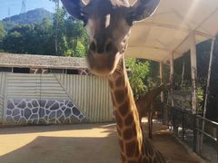 -泉州海丝野生动物世界