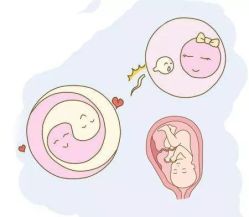 -邢台妇产医院