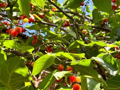 -boundaries籬苑(瑞光创意工厂-贰号院店)