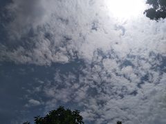 -温江公园