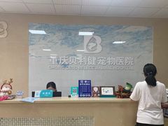 -宠颐生贝利健动物医院(谢家湾分院)
