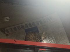 -夜烤·宜宾烧烤(洋河路店)