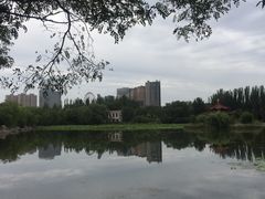 -青城公园