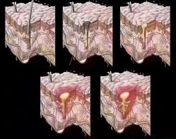 -Cream88颜皮肤管理中心