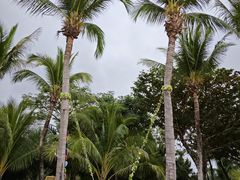 -后海村