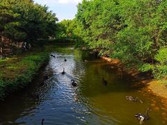 -长白岛森林公园