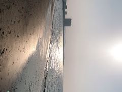-长兴岛海滨公园