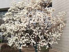 -北京服装学院民族服饰博物馆
