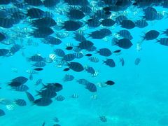 -亚龙湾海底世界