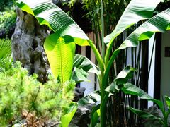 -南京民俗博物馆(甘熙故居)