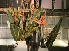 -穹六人间 people 6(岳阳路店)