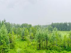 -莫尔道嘎国家森林公园