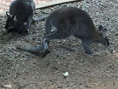 -昆明动物园