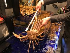 -蟹道乐(道顿堀本店)