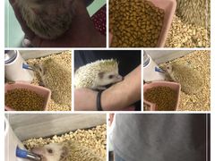 -藦茜花园宠物主题亲子互动体验馆(国顺东路店)