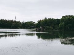 -新洲生态园