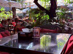 -Fern Forest Cafe