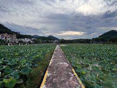 -红山村