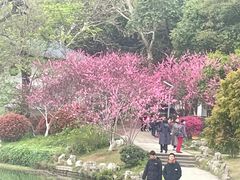 -食膳公园包子铺(烈士公园店)