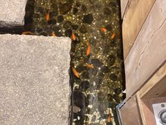 -邈墨茶馆(凤起路店)