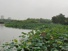-尚贤河湿地