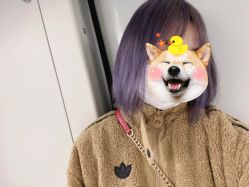 -99烫染