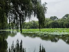 -北陵公园