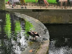 -卢森堡公园