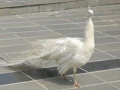 -大青山野生动物园