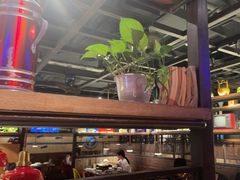 -探鱼·鲜青椒爽麻烤鱼(广州欣荣广场店)