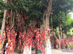 -白帝城·瞿塘峡景区