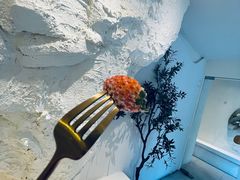 -伊斯坦布尔土耳其清真咖啡餐厅