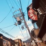 反复读你的故事，反复看你一尊尊橙色的外形