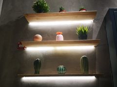 -素匠泰茶(三里屯SOHO工体奶茶店)