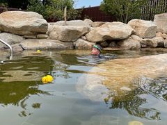 -太阳岛度假酒店