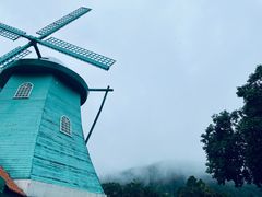-南沙蒲洲花园