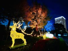 -大宁郁金香公园-停车场